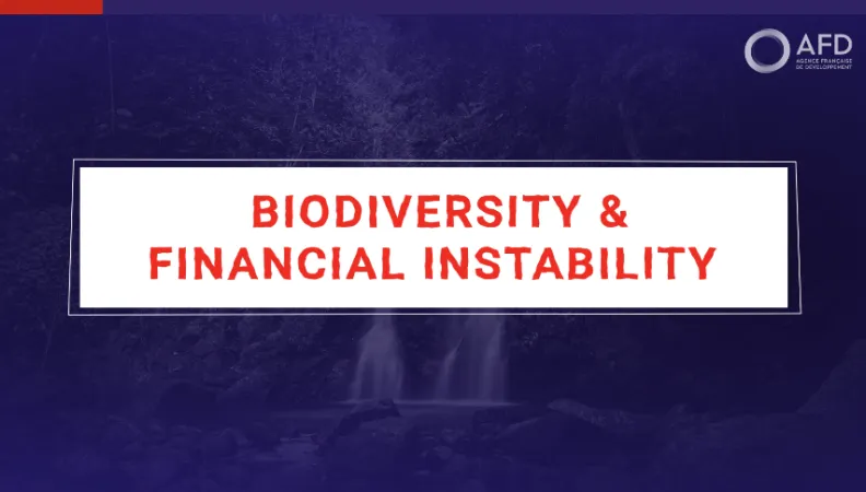 Biodiversity and financial instability with Julien Calas