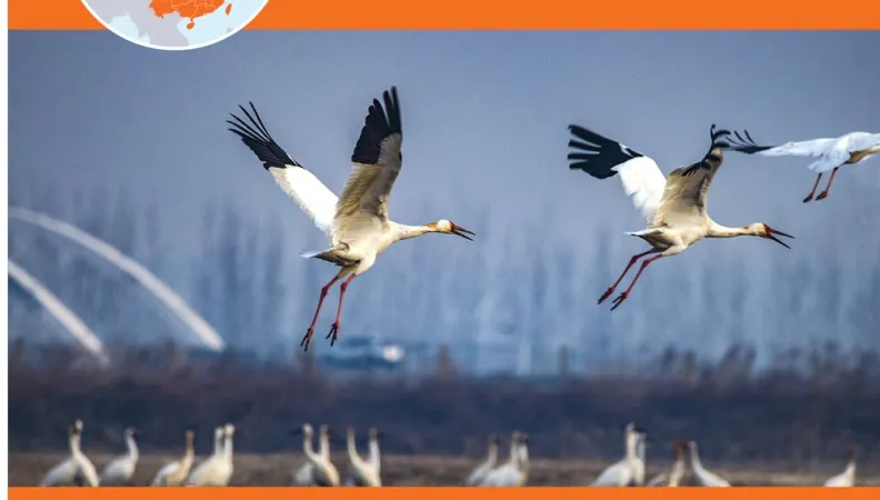 AFD and the protection of biodiversity in China