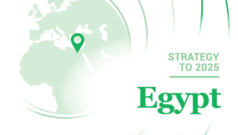 Egypt - Strategy to 2025