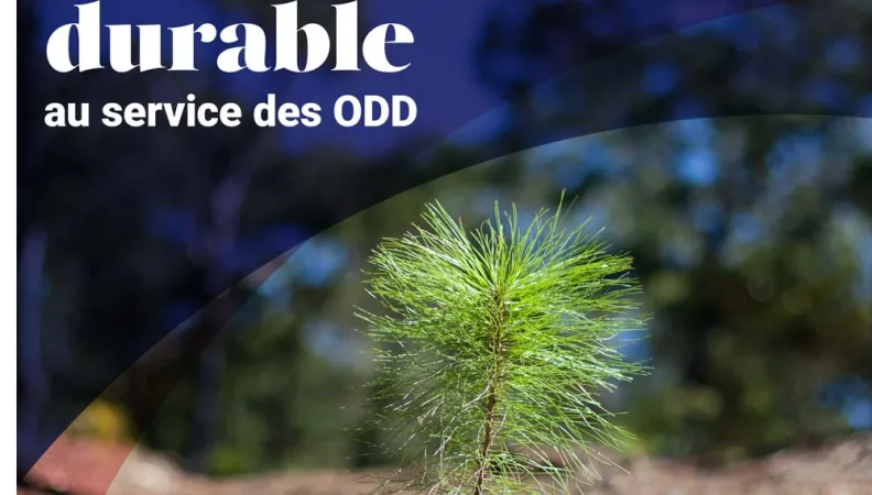 L'analyse développement durable de l'AFD - brochure