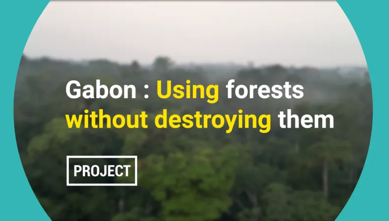Gabon: Using forests without destroying them
