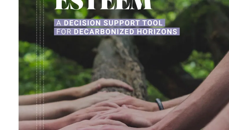 ESTEEM: A Decision Support Tool for Decarbonized Horizons