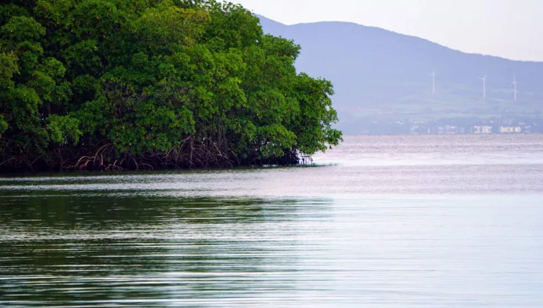 Une île aux caraïbes