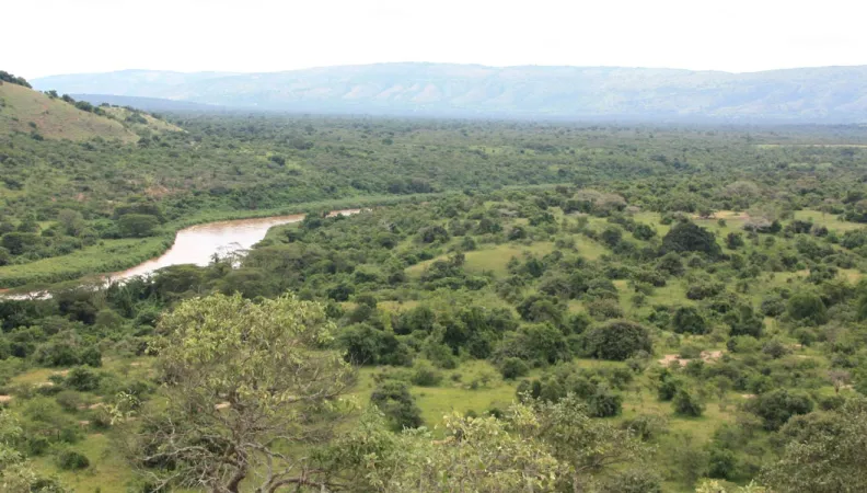 AFD supports the Kakono hydropower plant development project in Tanzania