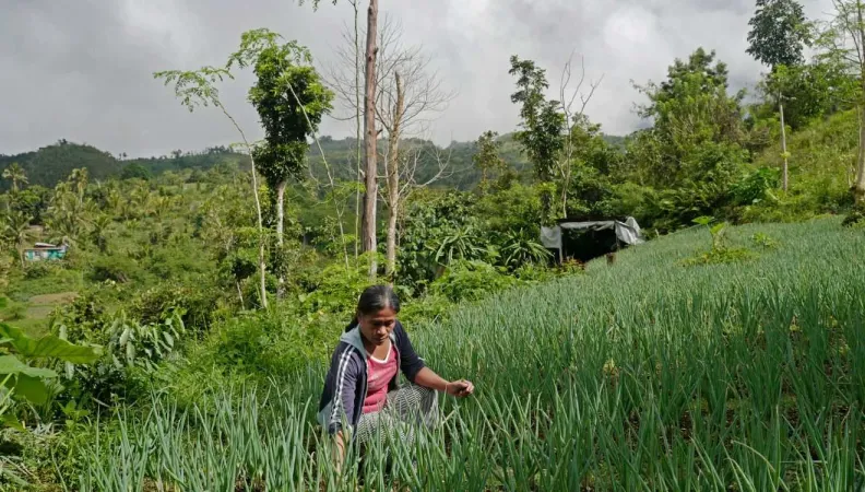 Support for national reform program to combat climate change in the Philippines