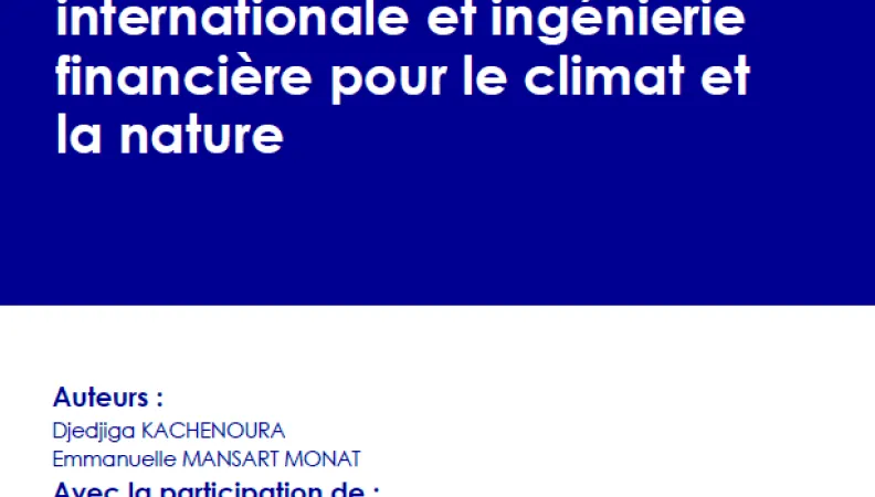 Vignette série grise architecture financière climat FR