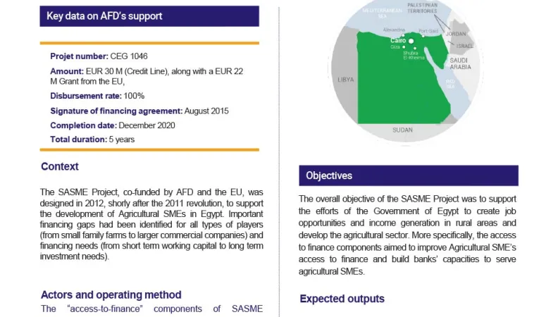 Access to finance, SASME project, Egypt