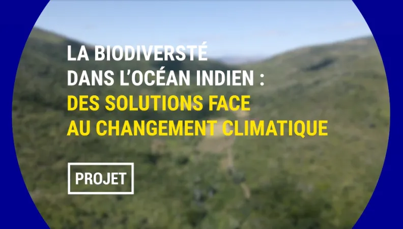 La biodiversité dans l’océan Indien : des solutions face au changement climatique
