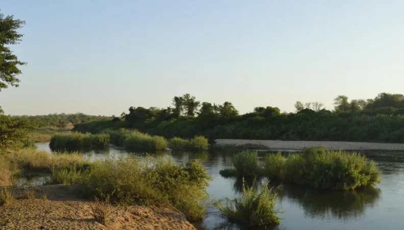 Limpopo national park, Mozambique