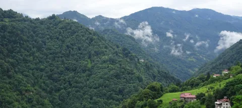 Sustainable Forest Management in Turkey