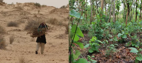 ecosysteme-afrique-conference