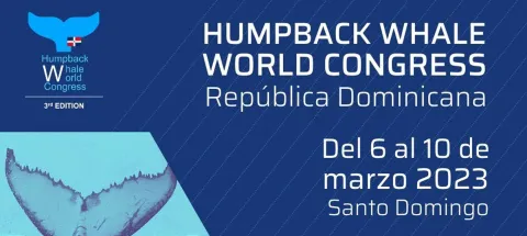 La République dominicaine au cœur de la préservation de la baleine à bosse