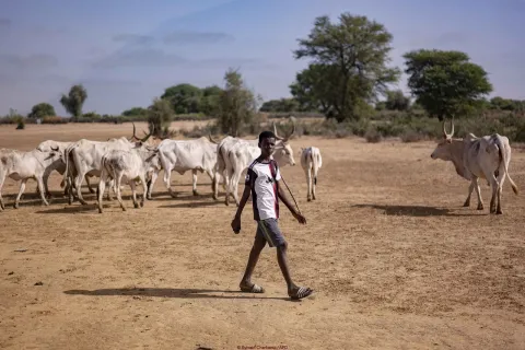adolescent champs agriculture sénégal