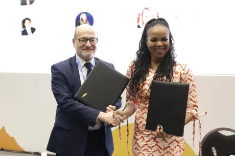 AFD and SEforALL strengthen their partnership to accelerate universal energy access in Africa