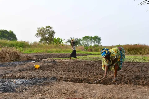 femmes benin agriculture afd